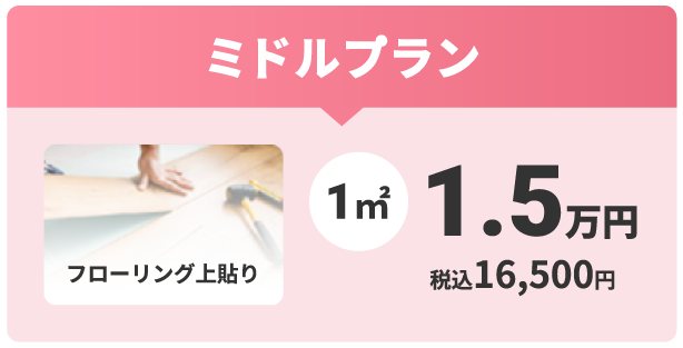 ミドルプラン
